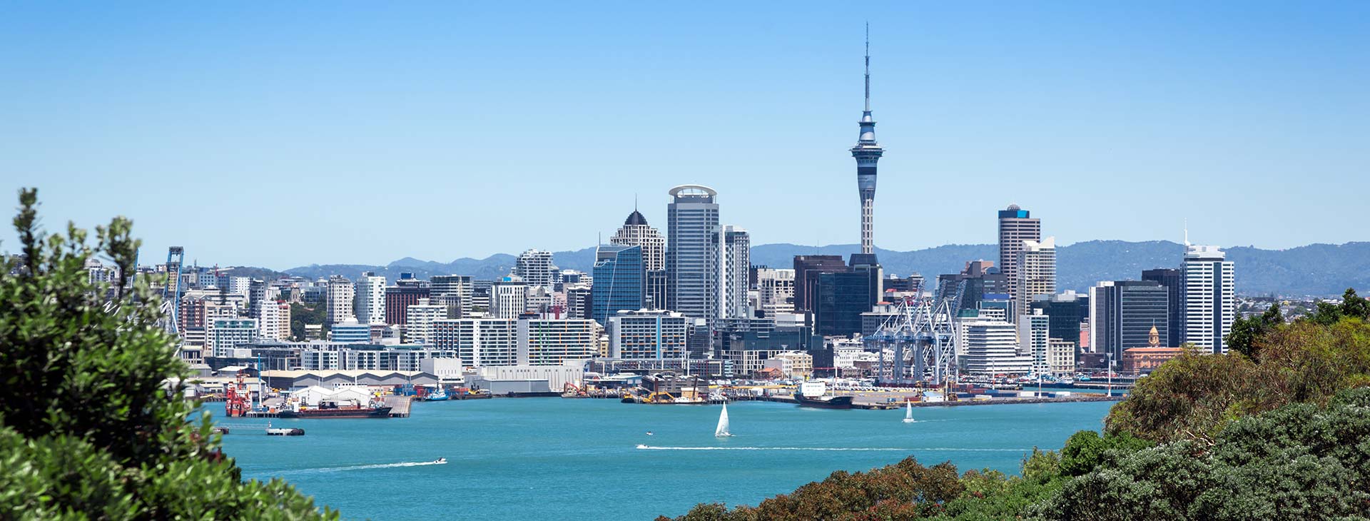 Auckland Central & East Dream Doors